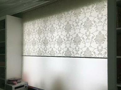 <span style="font-weight: bold;">ДВОЙНЫЕ РОЛЛ-ШТОРЫ "ДУЭТ"</span>